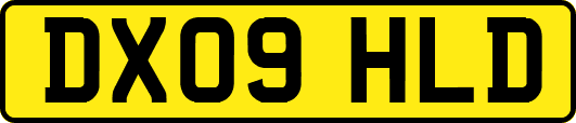 DX09HLD