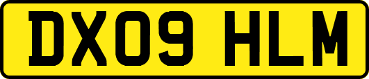 DX09HLM
