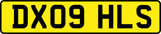 DX09HLS