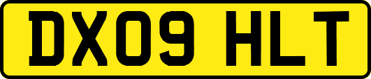 DX09HLT