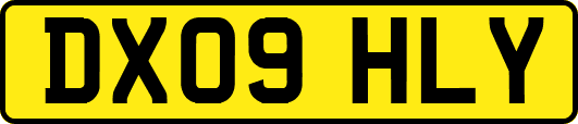 DX09HLY