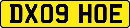 DX09HOE