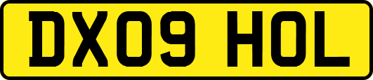 DX09HOL