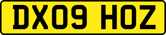 DX09HOZ