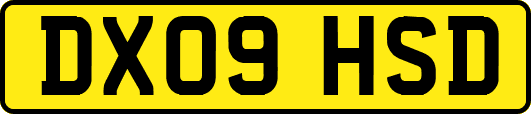 DX09HSD