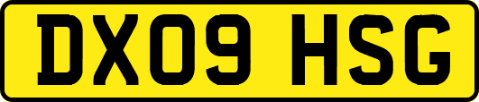 DX09HSG