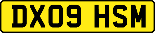 DX09HSM