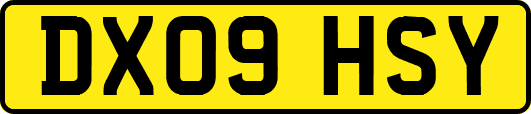 DX09HSY
