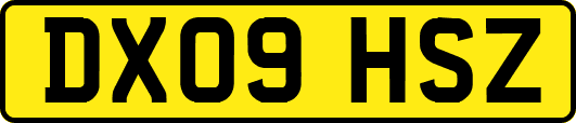 DX09HSZ