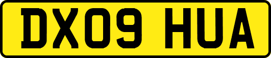 DX09HUA