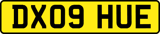 DX09HUE