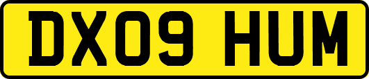 DX09HUM