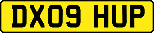 DX09HUP