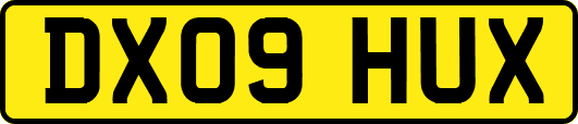 DX09HUX