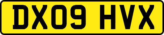 DX09HVX