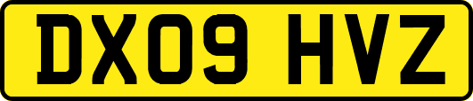 DX09HVZ