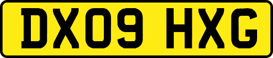 DX09HXG
