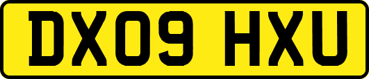 DX09HXU