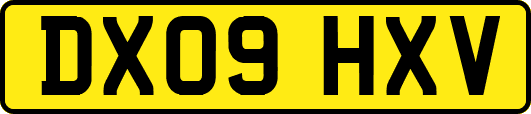 DX09HXV