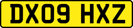 DX09HXZ