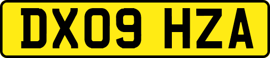 DX09HZA