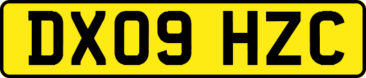 DX09HZC