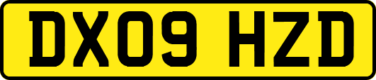 DX09HZD