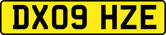 DX09HZE