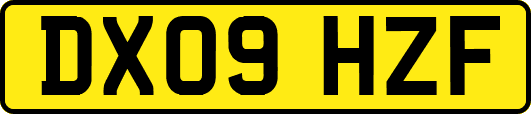DX09HZF