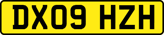 DX09HZH