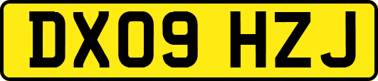 DX09HZJ