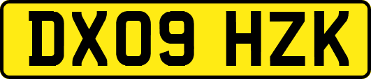 DX09HZK