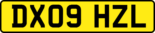 DX09HZL