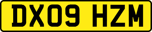 DX09HZM