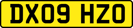 DX09HZO