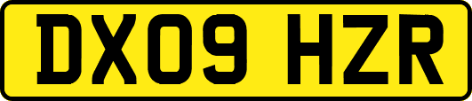 DX09HZR