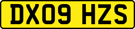 DX09HZS