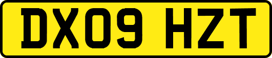 DX09HZT