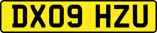 DX09HZU