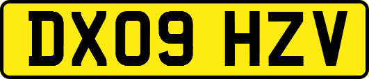 DX09HZV