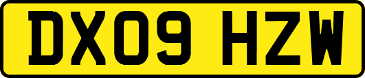 DX09HZW