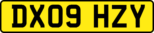 DX09HZY