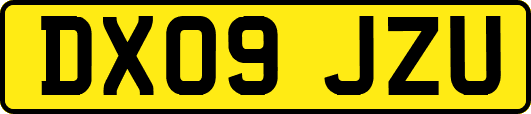 DX09JZU