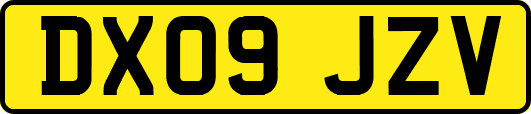 DX09JZV