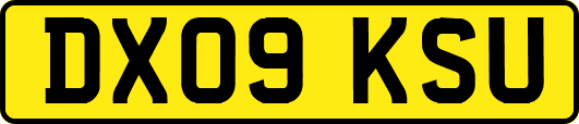 DX09KSU