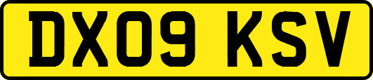 DX09KSV