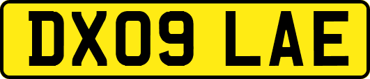 DX09LAE