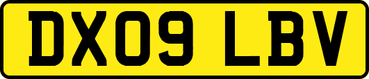 DX09LBV