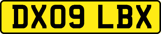 DX09LBX