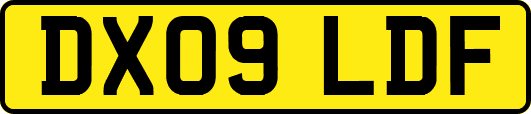 DX09LDF